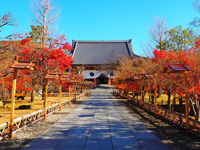 1030_洛東 智積院_京都