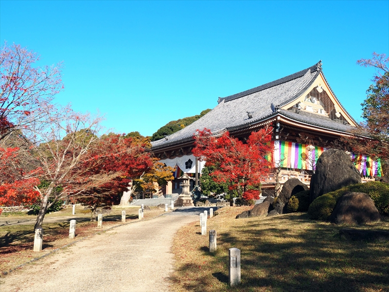 1039_洛東 智積院_京都