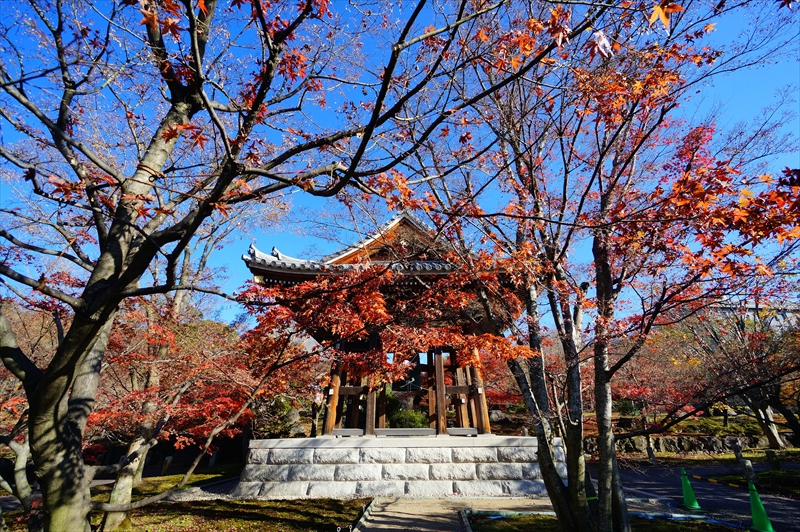1043_洛東 智積院_京都