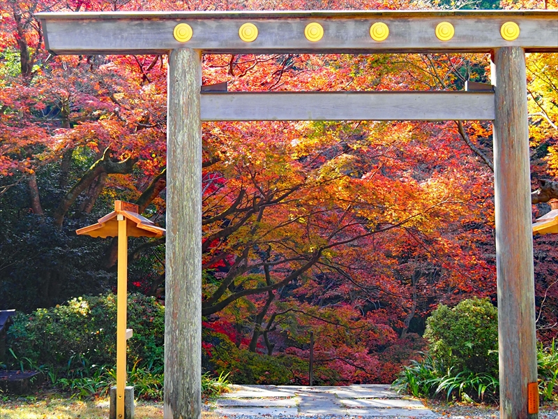1183_洛東 大神宮_京都