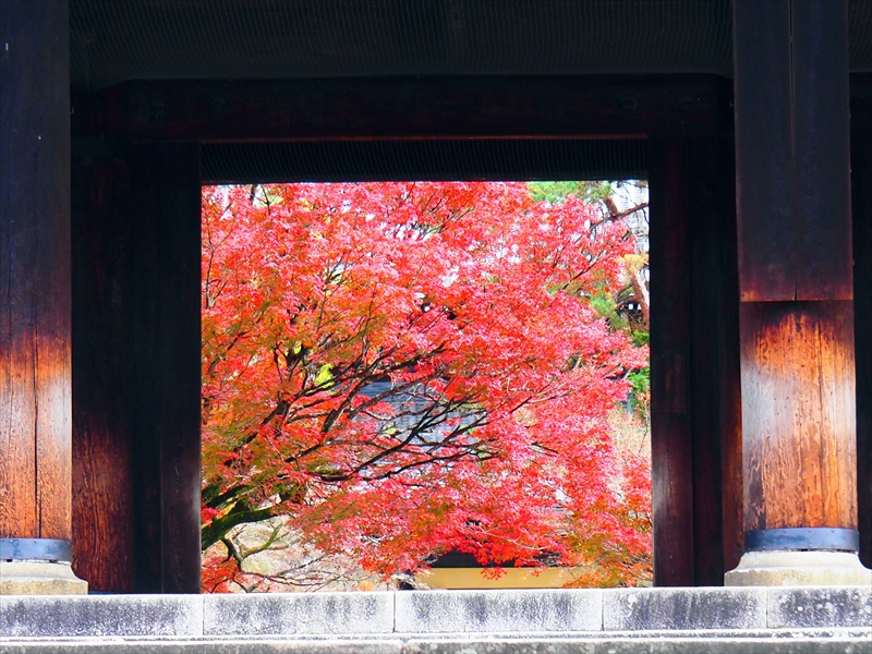 1112_洛東 南禅寺_京都