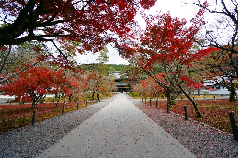 1114_洛東 南禅寺_京都