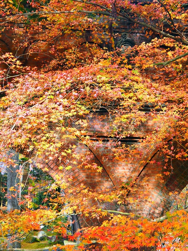 1116_洛東 南禅寺_京都