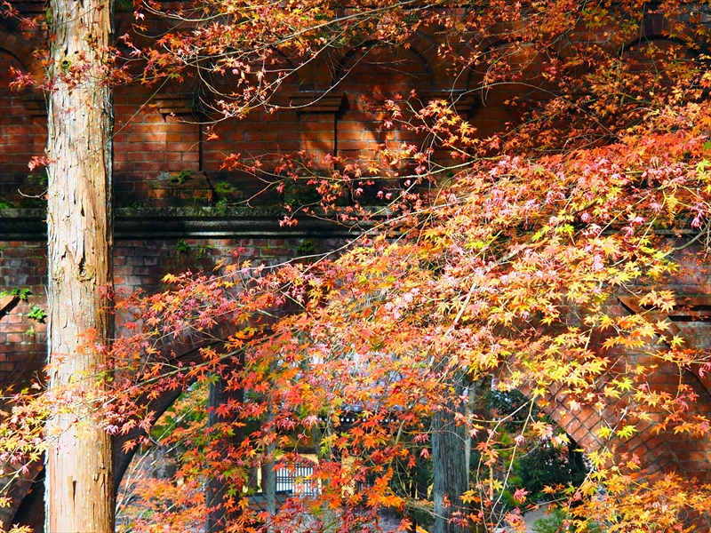 1117_洛東 南禅寺_京都