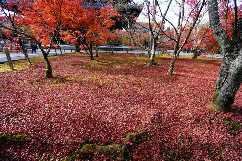 1124_洛東 南禅寺_京都