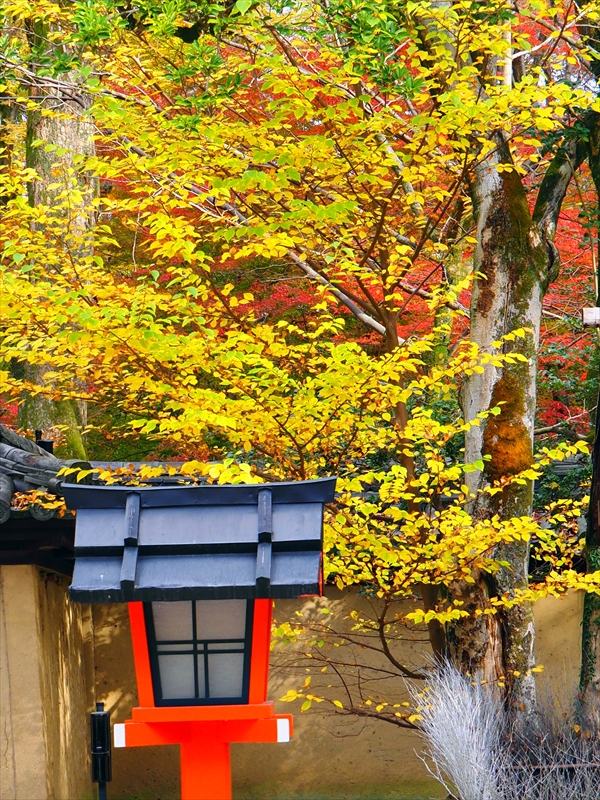 1017_洛中 河合神社_京都