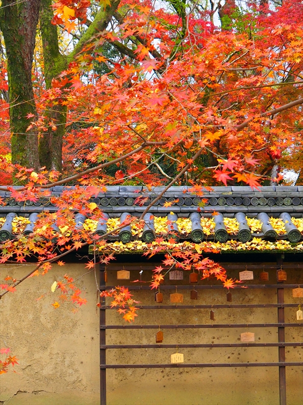1019_洛中 河合神社_京都