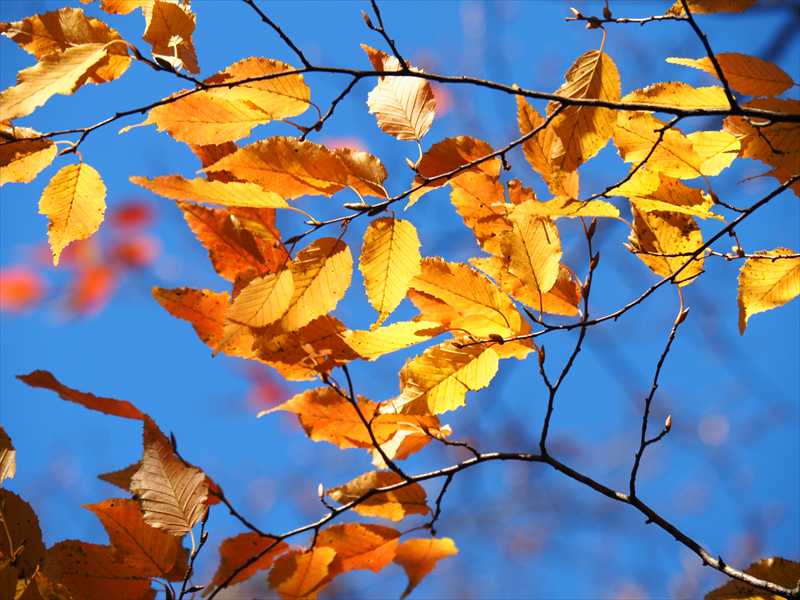 1166__横浜市新羽町_神奈川