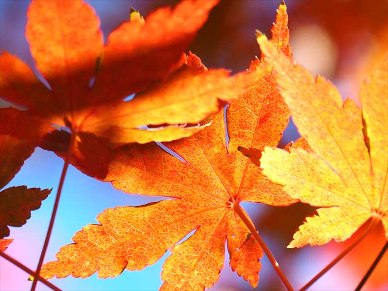 1172__横浜市新羽町_神奈川