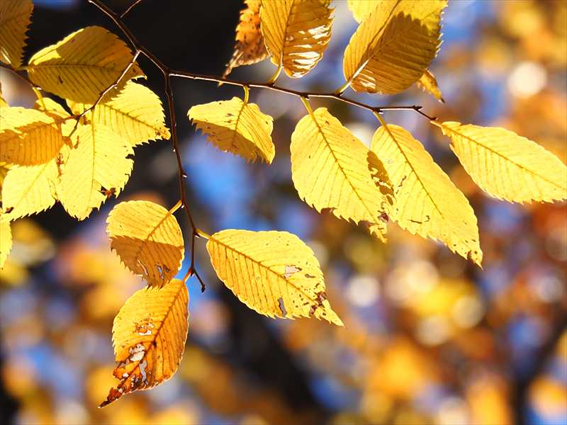 1178__横浜市新羽町_神奈川