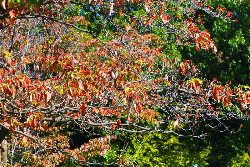 1182__横浜市新羽町_神奈川