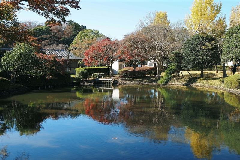 1029_偕楽園_茨城