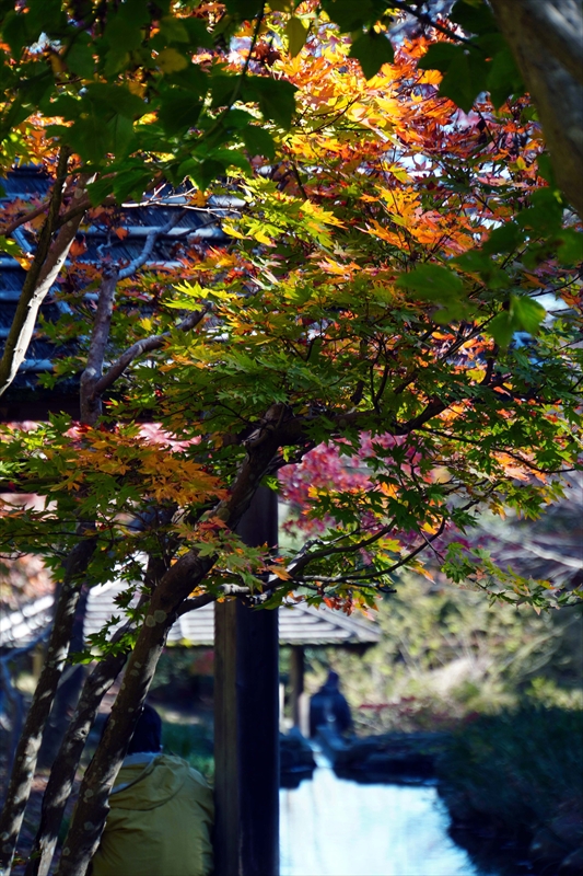 1072_偕楽園_茨城