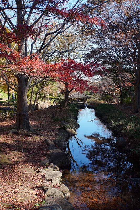 1074_偕楽園_茨城