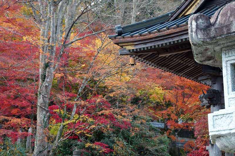 1010_永源寺_茨城