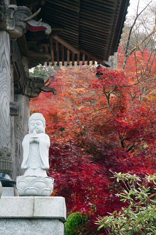 1013_永源寺_茨城