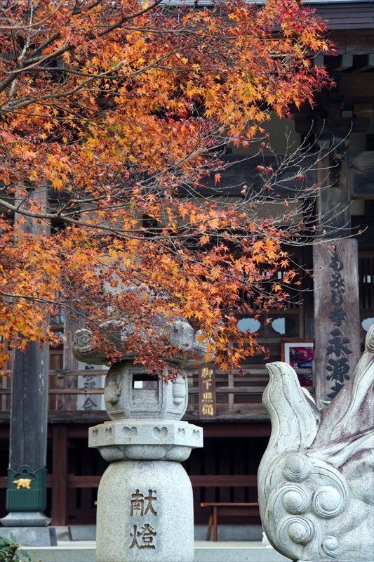 1016_永源寺_茨城
