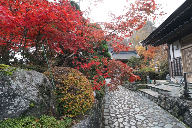 1019_永源寺_茨城