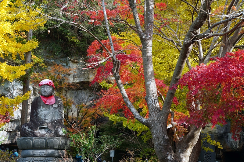 1048_瑞巌寺_宮城