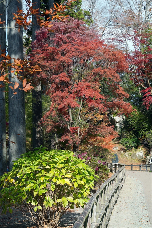 1049_瑞巌寺_宮城
