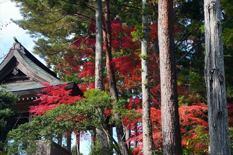 1064_瑞巌寺_宮城