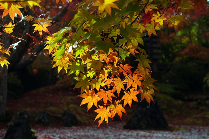 1013_円通院_宮城