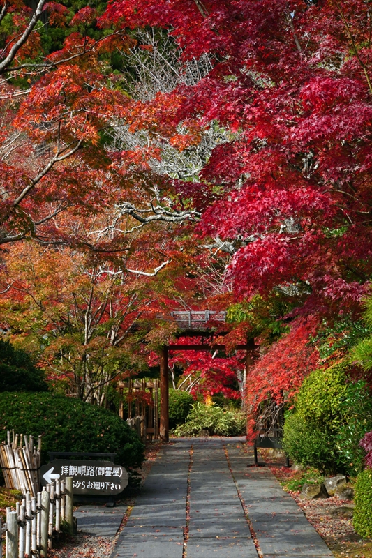 1016_円通院_宮城