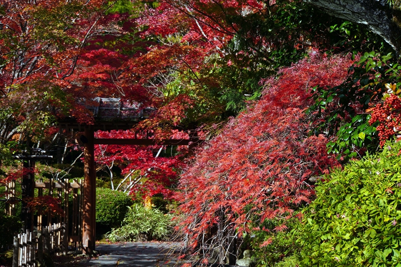 1020_円通院_宮城