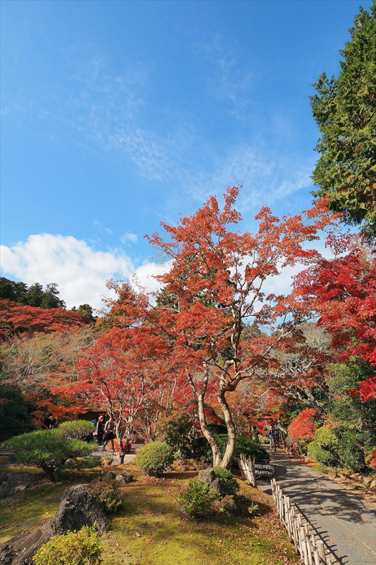 1021_円通院_宮城