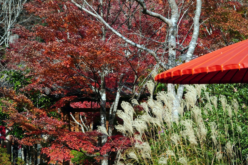 1023_円通院_宮城