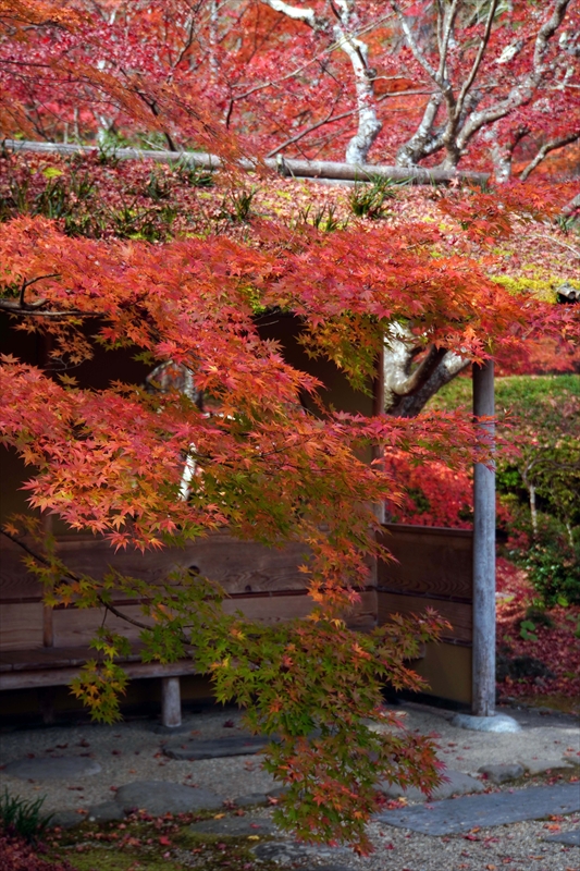 1027_円通院_宮城