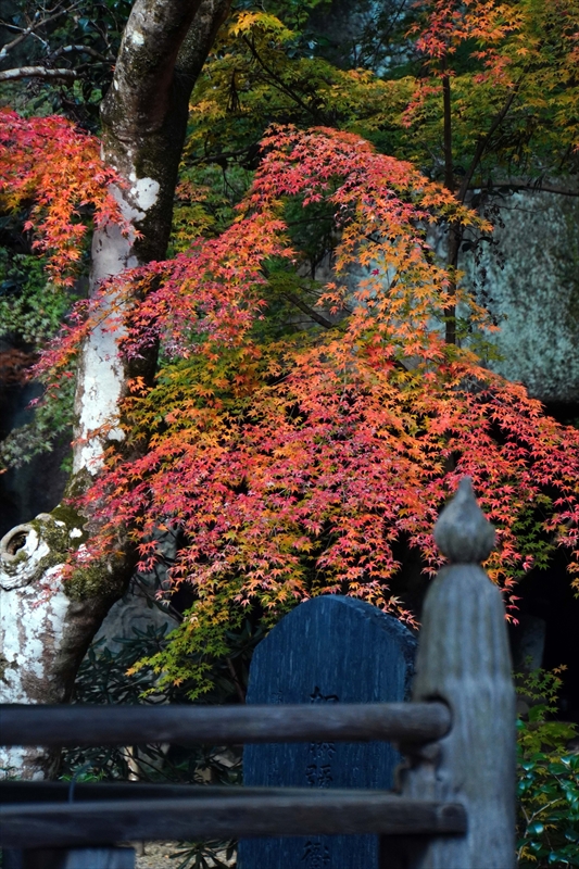 1039_円通院_宮城