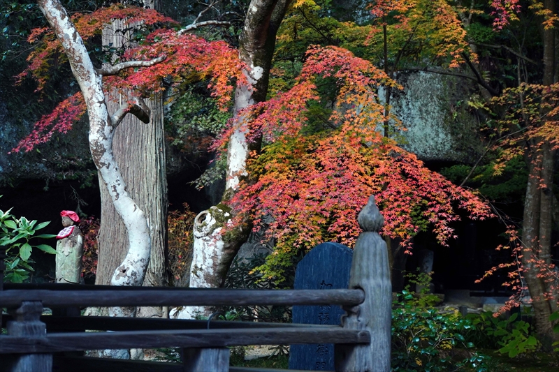 1040_円通院_宮城