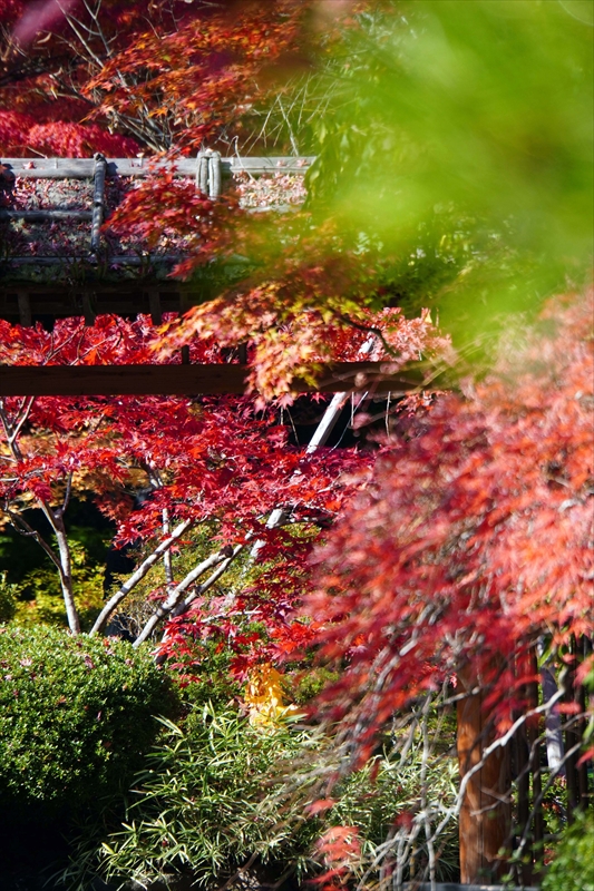 1046_円通院_宮城