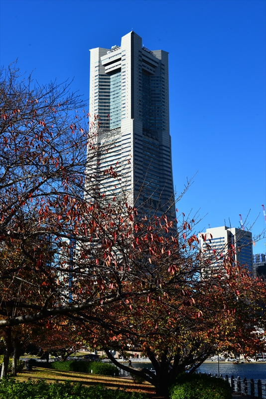1020_汽車道_神奈川
