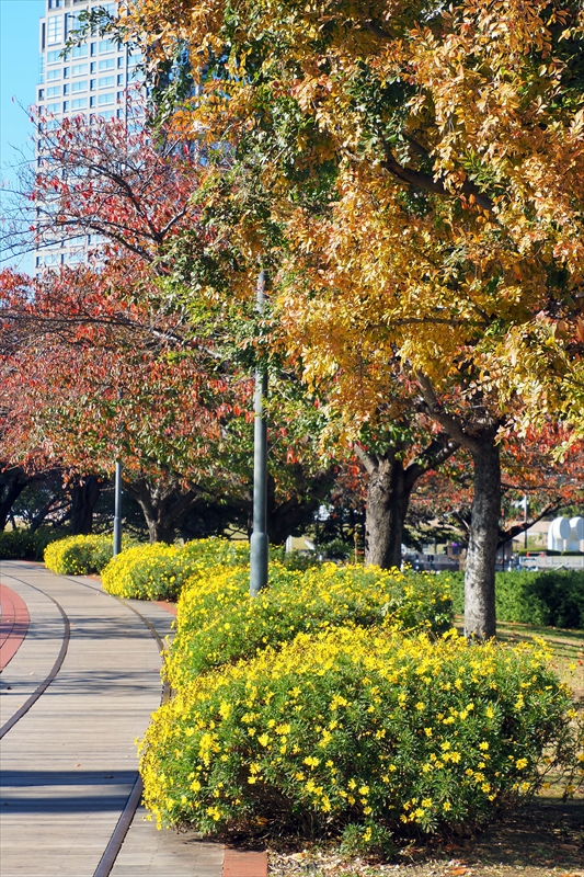 1021_汽車道_神奈川