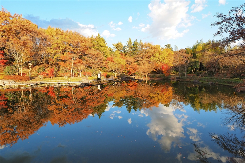 1173_昭和記念公園_東京