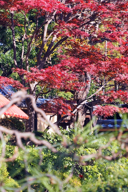 1015_芝公園_東京