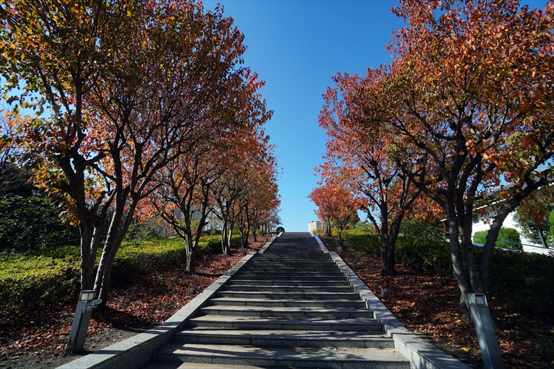 1053_増上寺_東京