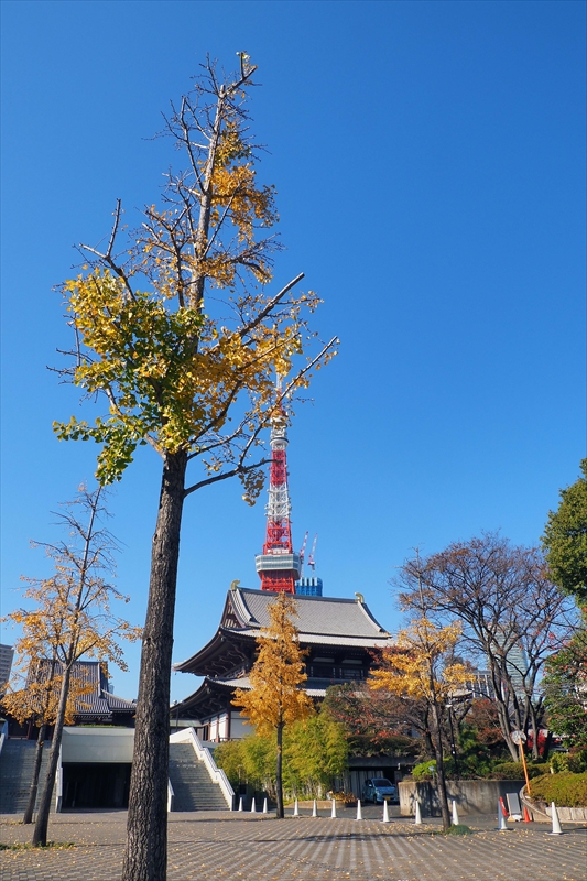 1063_増上寺_東京