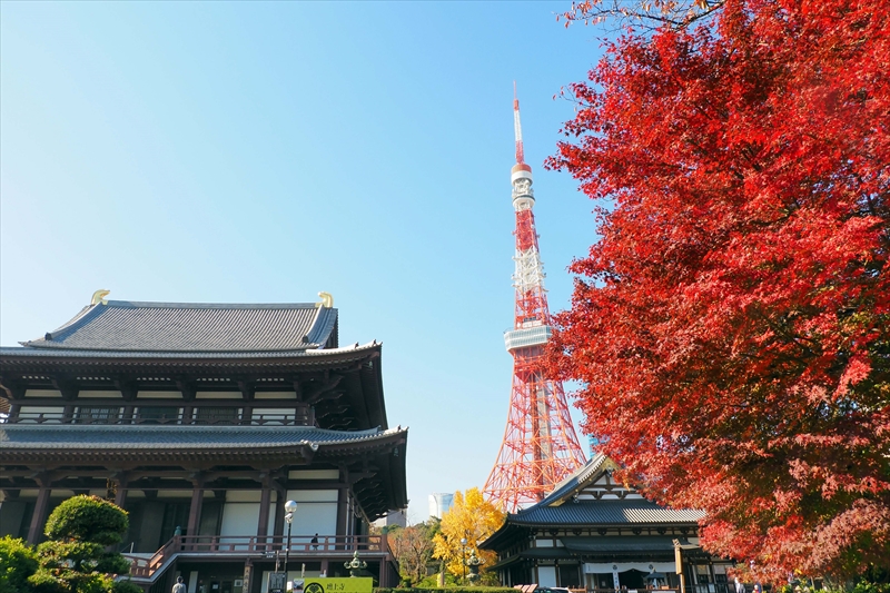 1071_増上寺_東京