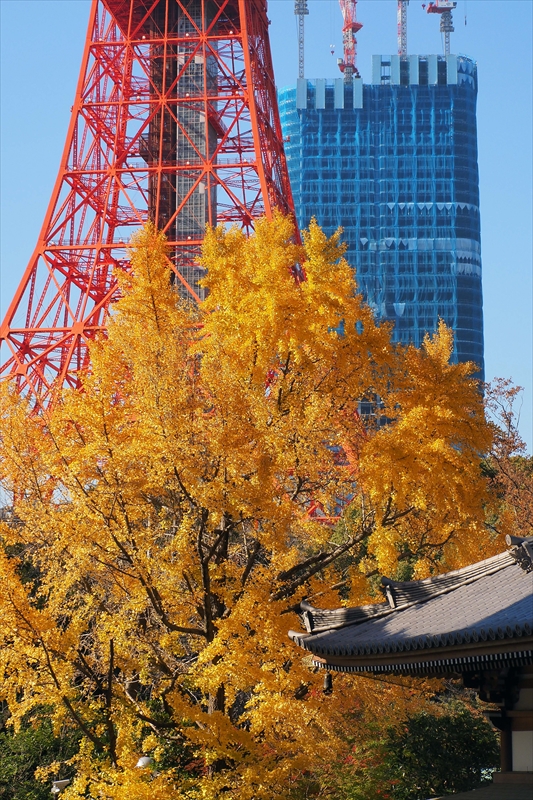 1077_増上寺_東京