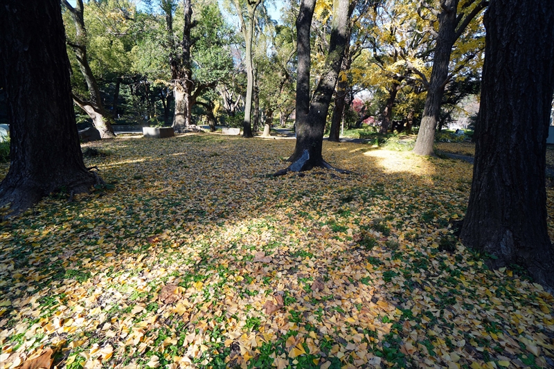 1020_芝公園_東京