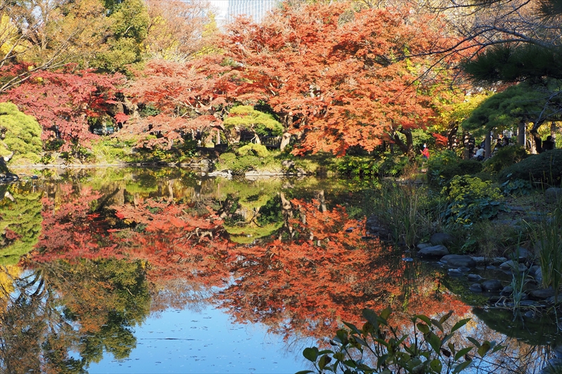 1051_日比谷公園_東京