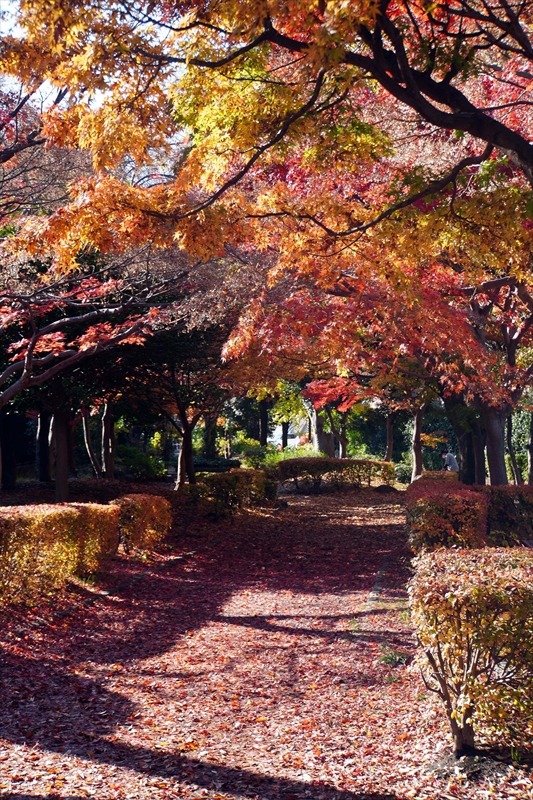 1185__横浜市新羽町_神奈川