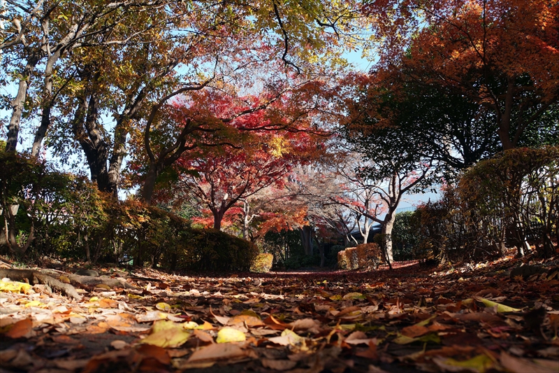 1186__横浜市新羽町_神奈川