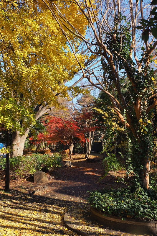 1196_横浜市新羽町_神奈川