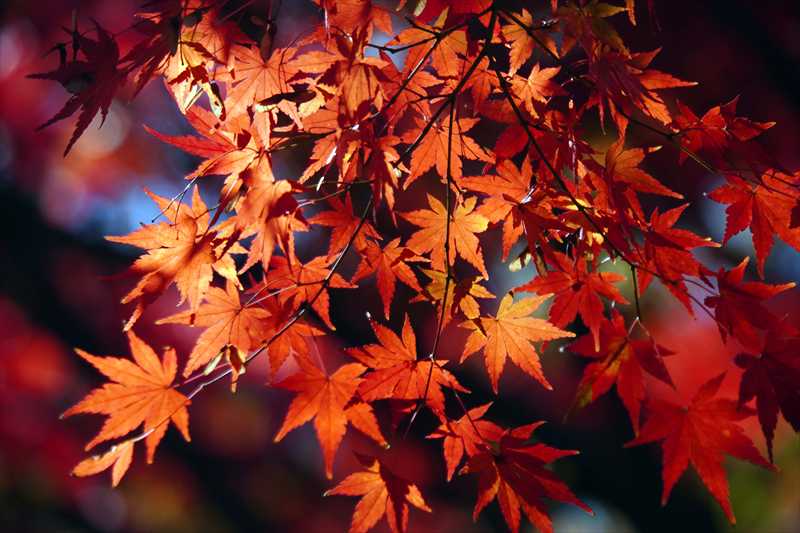 1197_横浜市新羽町_神奈川