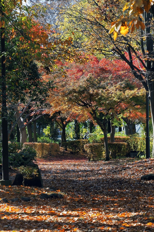 1200_横浜市新羽町_神奈川