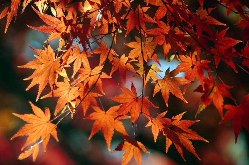 1203_横浜市新羽町_神奈川